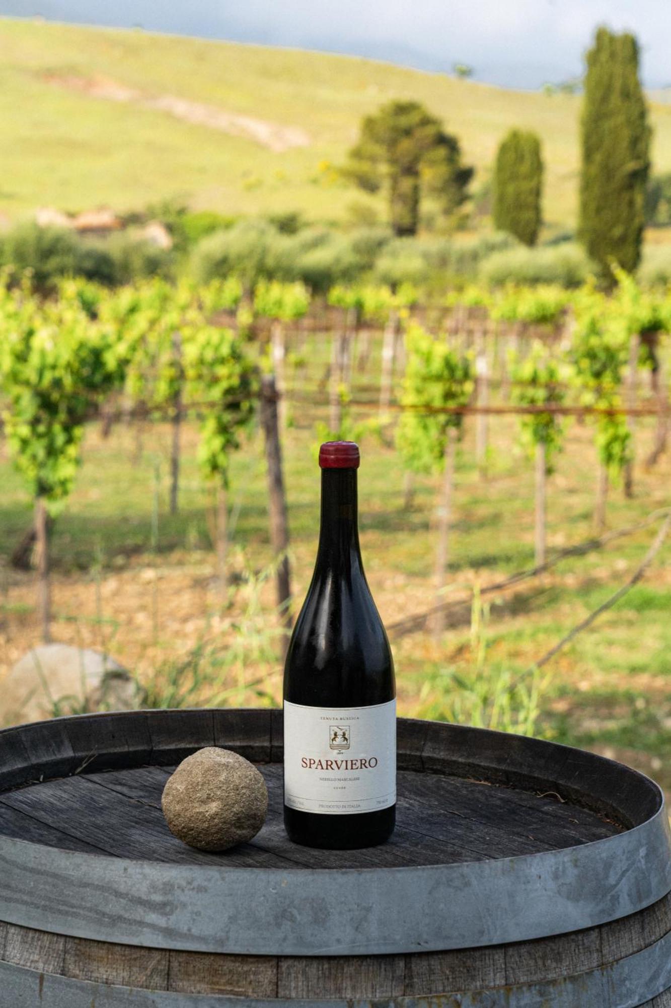 Tenuta Rustica 1519 Roccella Valdemone 外观 照片